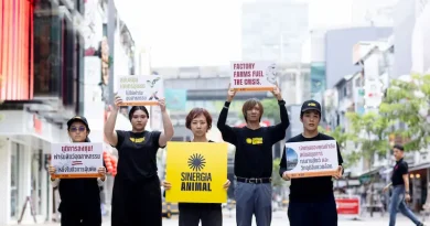 ไทยร่วมกว่า 20 ประเทศทั่วโลก เรียกร้องธนาคารโลกยุติการสนับสนุนฟาร์มปศุสัตว์ เชิงอุตสาหกรรม ก่อนประชุมใหญ่ที่กรุงเทพฯ ซิเนอร์เจีย แอนนิมอล ชี้ทิศทางการลงทุนต้องสอดคล้องเป้าหมายความยั่งยืน สุขภาพ และระบบอาหารในอนาคต